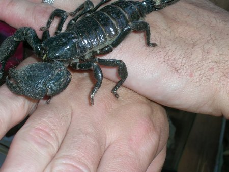 No, those aren't my hands.